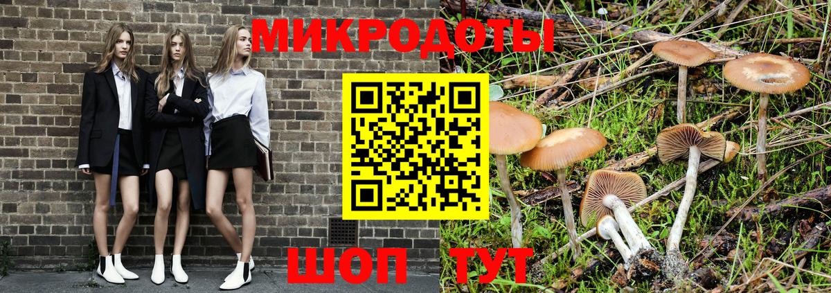 Выкса  Псилоцибиновые грибы MAGIC MUSHROOMS  Вход с VPN  Галлюциногенные грибы мицелий 